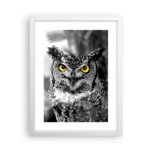 Plakát v bílém rámu - Nic se neschová - 30x40 cm