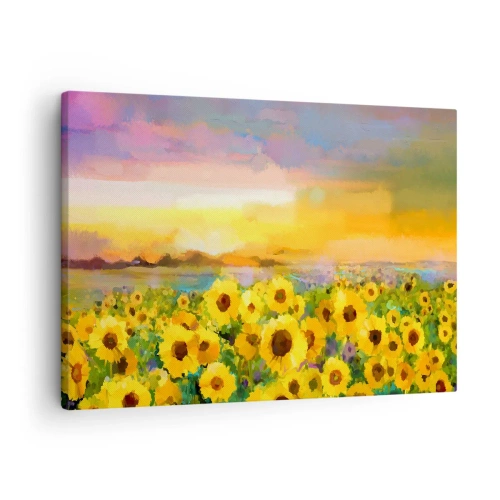 Obraz na plátně - Pole slunečnic ve světle zapadajícího slunce - 70x50cm - Samotné slunce sestoupilo na zem - Moderní nástěnná dekorace do obývacího pokoje a ložnice ARTTOR