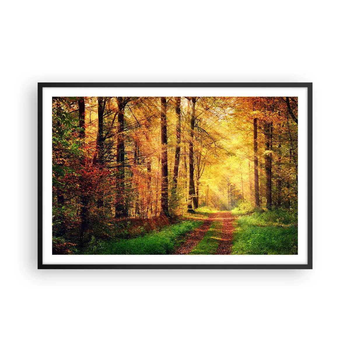 Plakát v černém rámu - Lesně-zlaté ticho - 91x61 cm