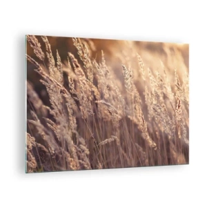 Obraz na skle - Zlaté trávy ozářené paprsky zapadajícího slunce - 70x50cm - Připraveni přivítat podzim - Moderní nástěnná dekorace do obývacího pokoje a ložnice ARTTOR