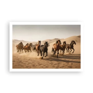 Plakát - Volné jako vítr - 91x61 cm