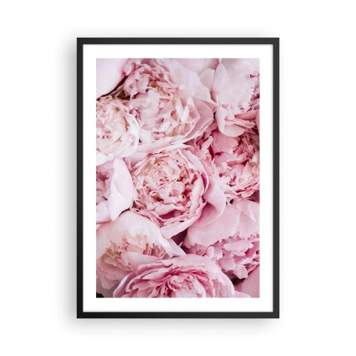 Plakát v černém rámu - Detailní záběr na jemné růžové pivoňky v plném květu - 50x70cm - Přitulené a voňavé - Moderní nástěnná dekorace do obývacího pokoje a ložnice ARTTOR