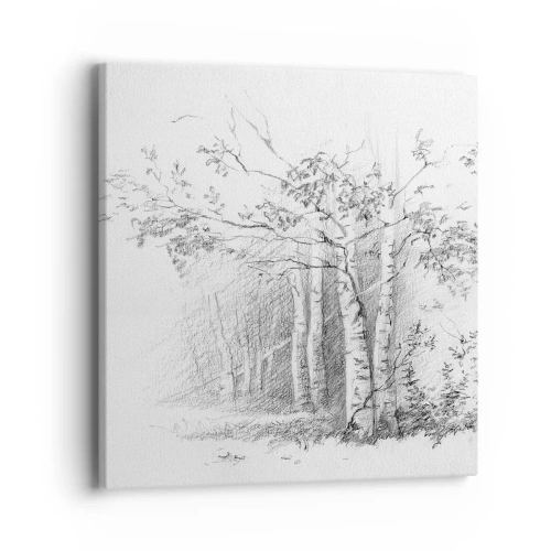 Obraz na plátně - Světlo březového lesa - 40x40 cm
