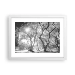 Plakát v bílém rámu - V olivovém háji - 40x30 cm