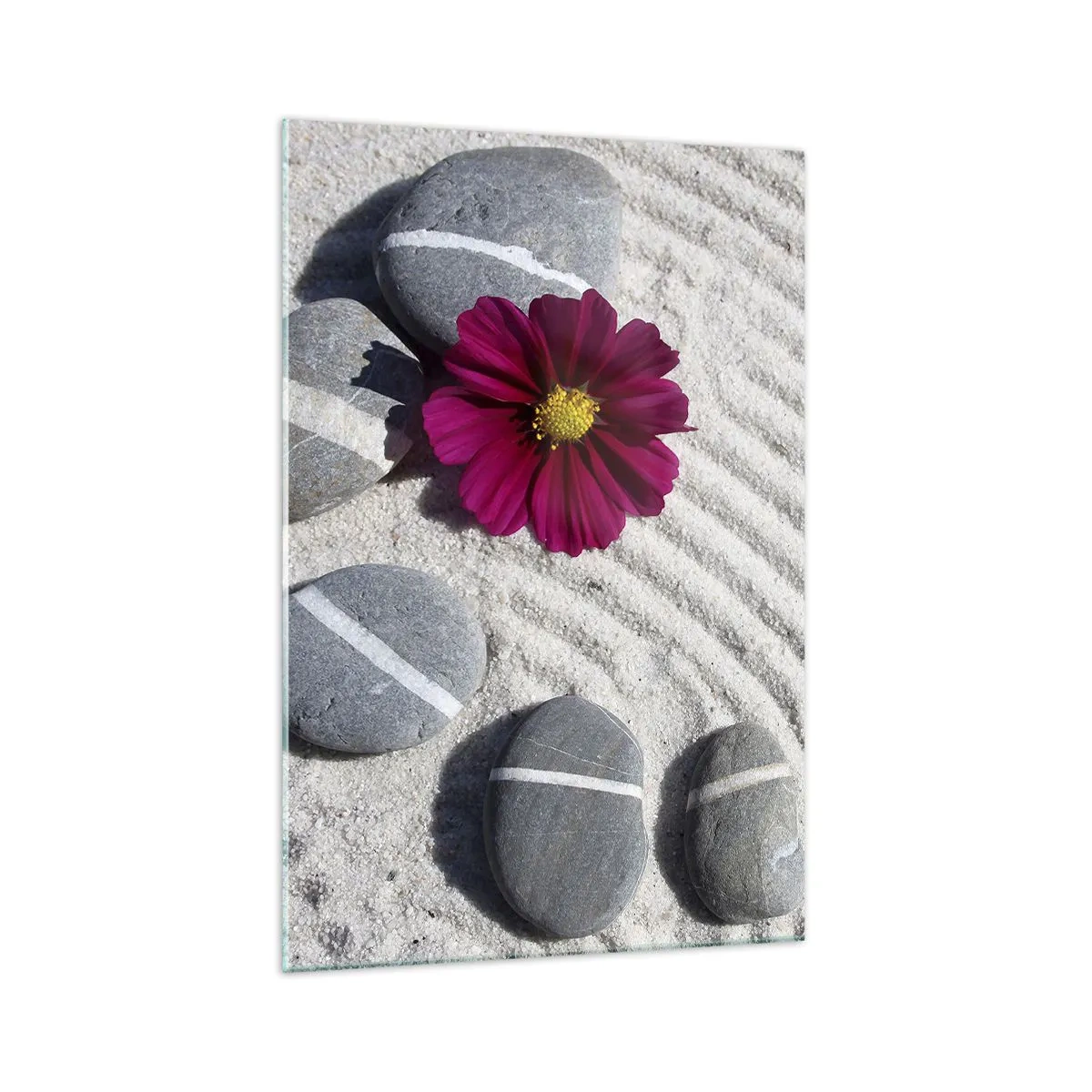 Obraz na skle - Energie a klid magického kruhu přírody - 70x100 cm