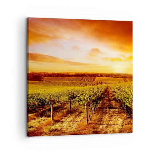 Obraz na plátně - Jemně ovocné s tónem slunce - 60x60 cm