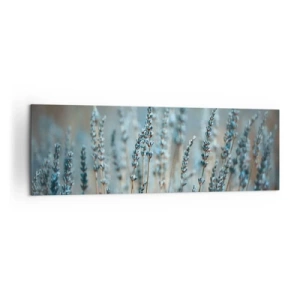 Obraz na plátně - Voňavý lán - 160x50 cm