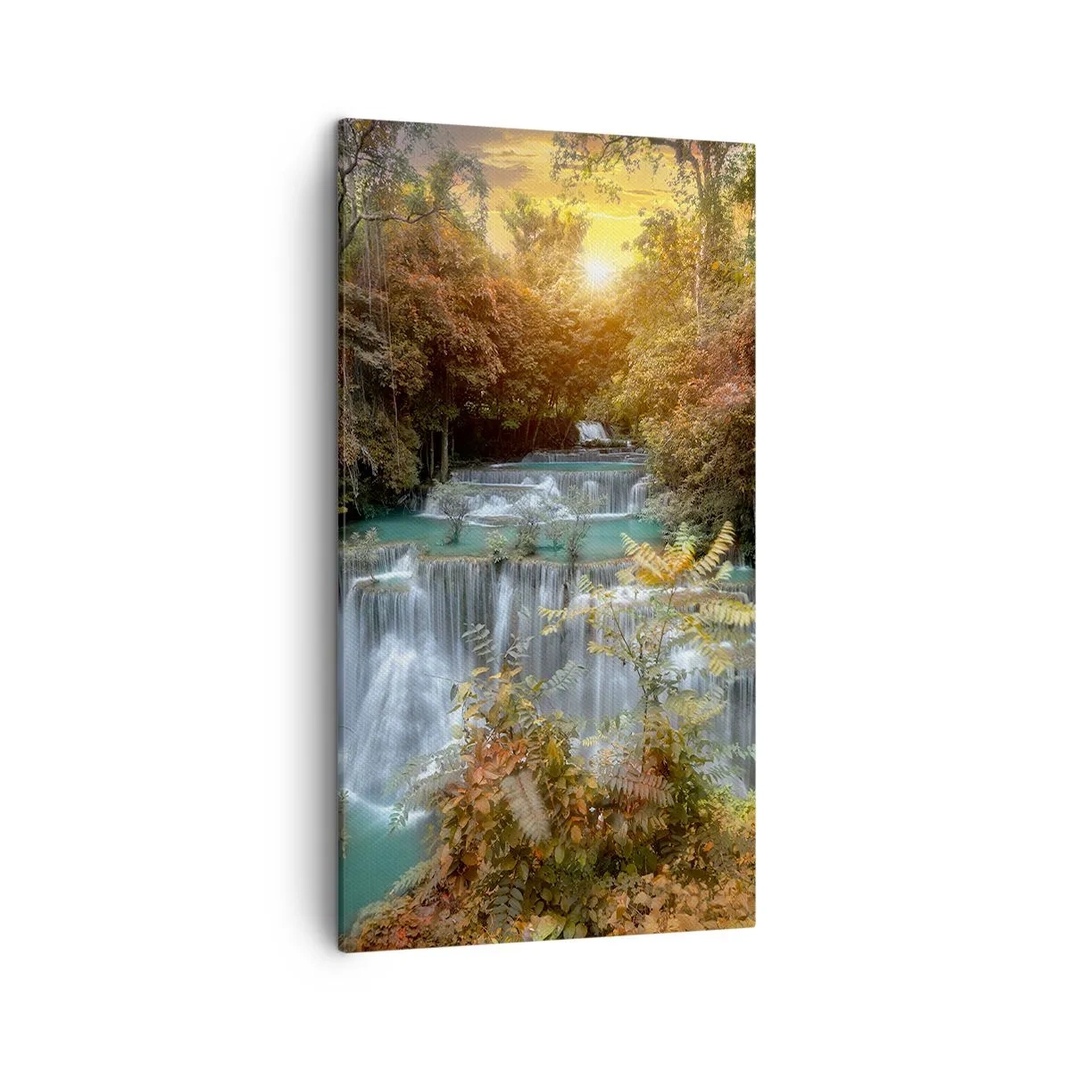 Obraz na plátně - Ukrytý poklad lesa - 45x80 cm