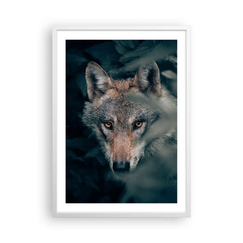 Plakát v bílém rámu - Predátor - 50x70 cm