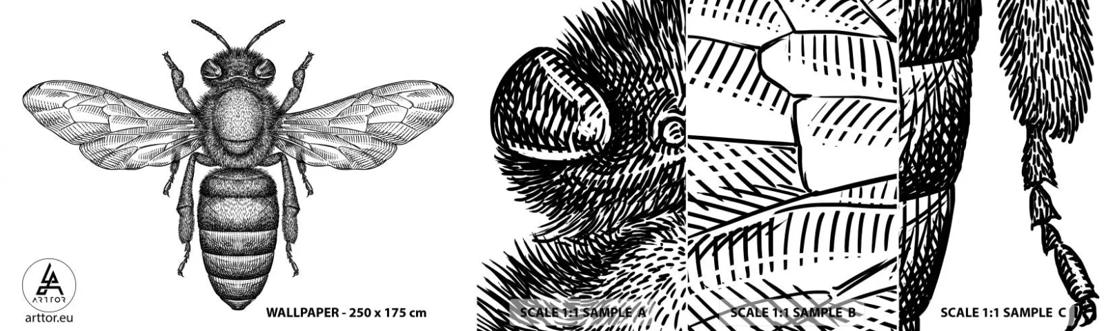 Vzor Fototapety Samolepicí Deluxe Sticker - Hmyzí portrét - Včela, Hmyz, Minimalistický - 100x30 cm