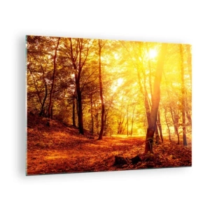 Obraz na skle - Podzimní les ozářený teplou září slunce - 70x50cm - Ke zlaté mýtině - Moderní nástěnná dekorace do obývacího pokoje a ložnice ARTTOR