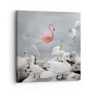 Obraz na plátně - Kde jsem se tu vzal? - 30x30 cm