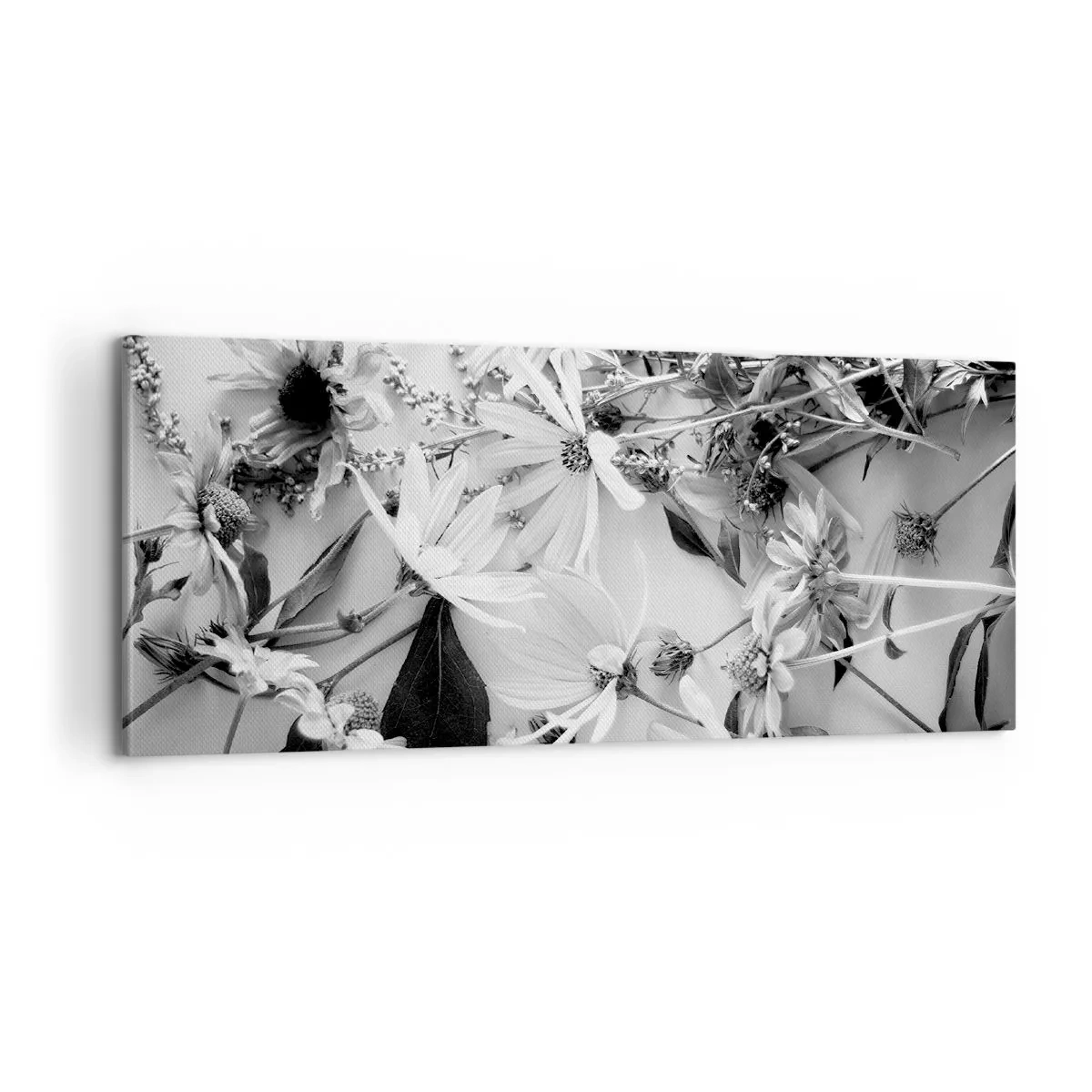 Obraz na plátně - Květiny bez kytice - 100x40 cm