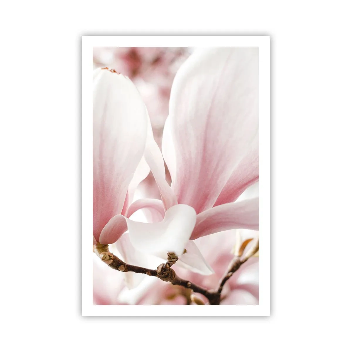 Plakát - Nesmírnost něžnosti - 61x91 cm