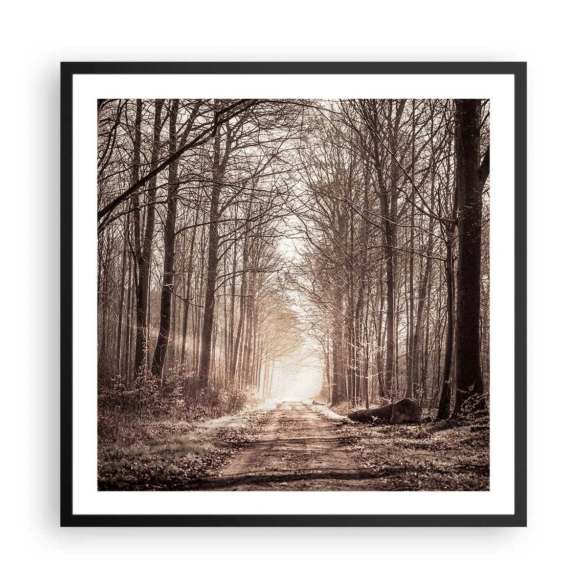 Plakát v černém rámu - Lesní katedrála - 60x60 cm