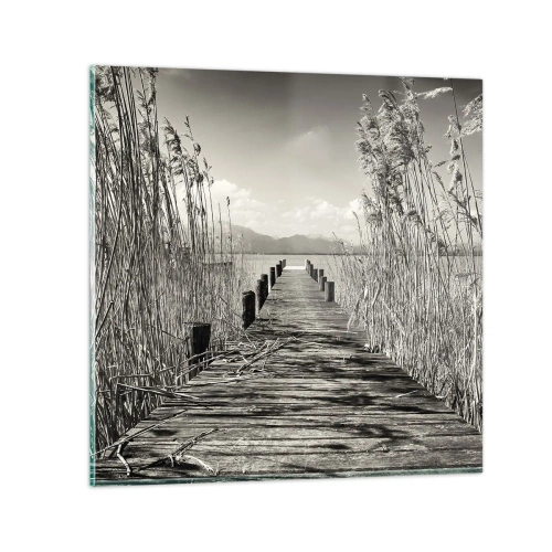 Obraz na skle - V ústraní travin - 60x60 cm