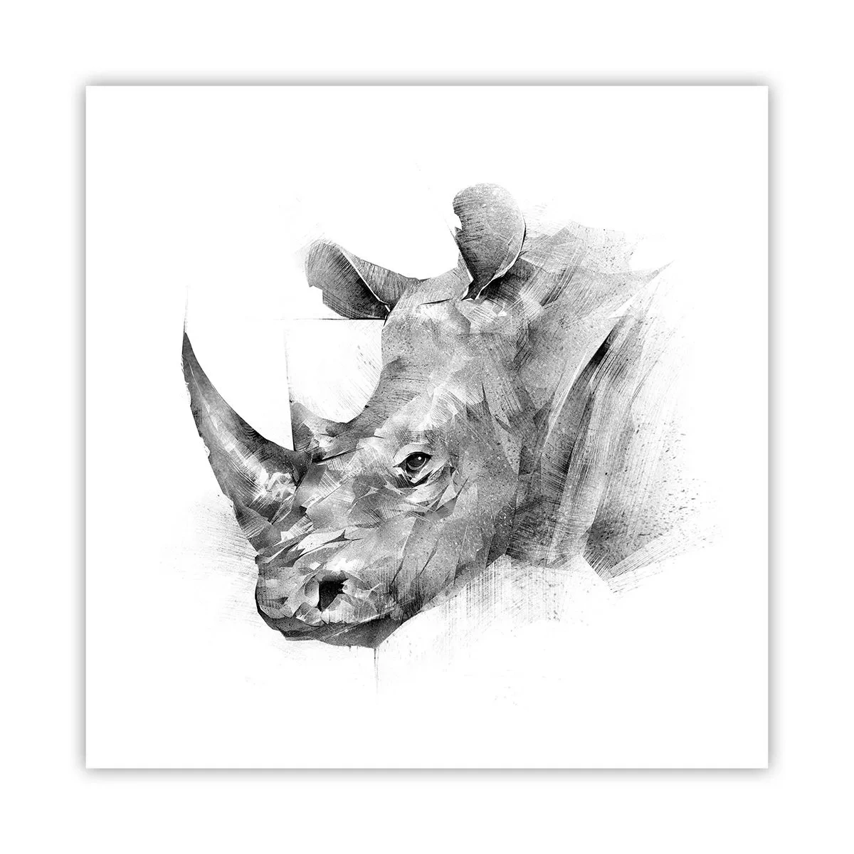 Plakát - Africký portrét - 60x60 cm