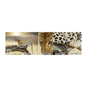 Vzor Fototapety Premium Sand - Chodím vlastními cestami - Zvířata, leopard, Afrika - 100x30 cm