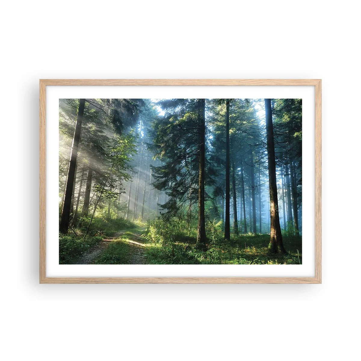 Plakát v rámu světlý dub - Zářící za úsvitu - 70x50 cm
