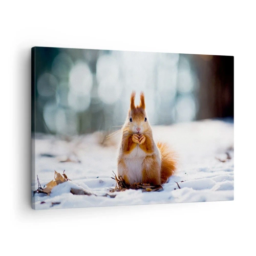 Obraz na plátně - Veverka v zimní krajině - 70x50cm - Co se tak díváš? - Moderní nástěnná dekorace do obývacího pokoje a ložnice ARTTOR