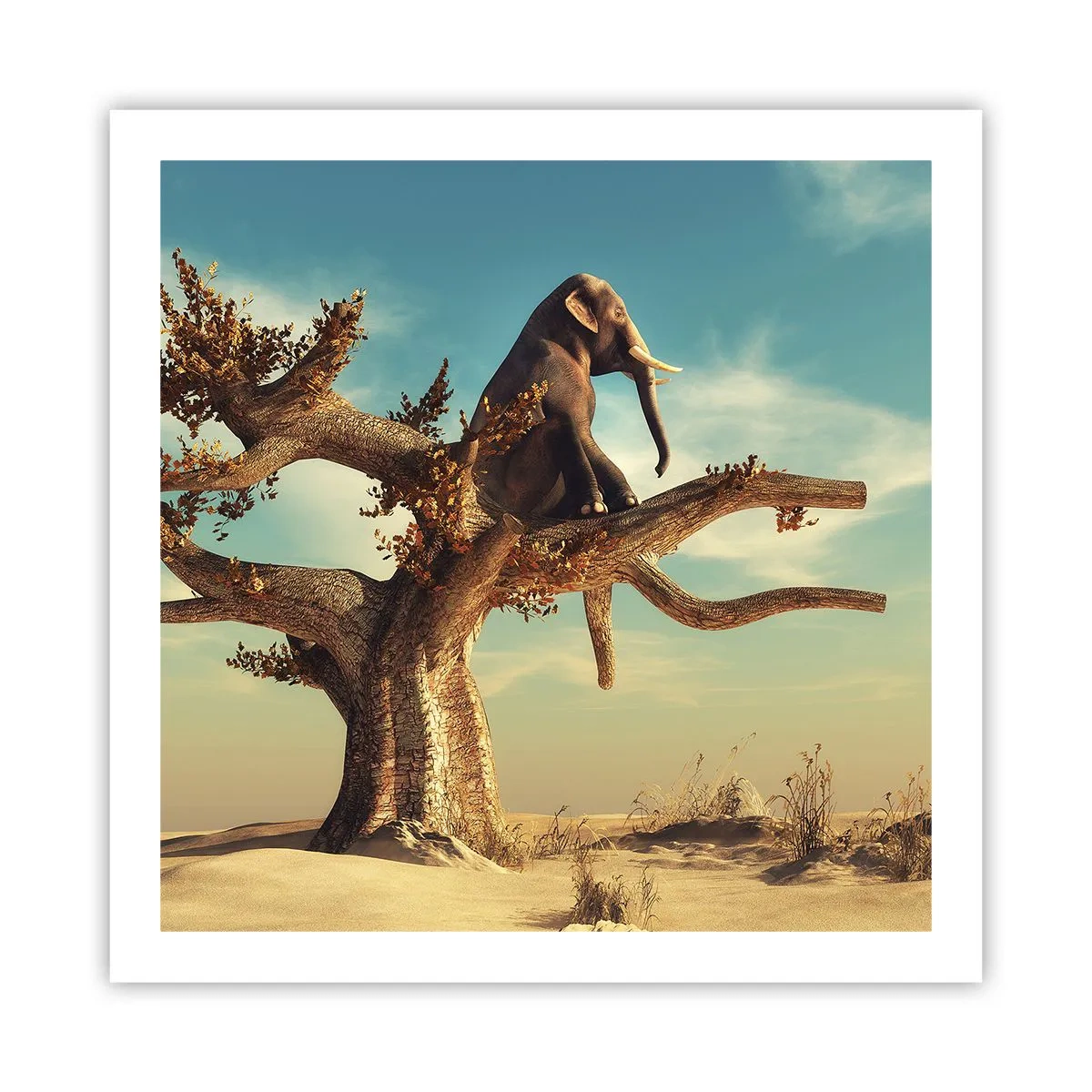 Plakát - Nový úhel pohledu - 60x60 cm