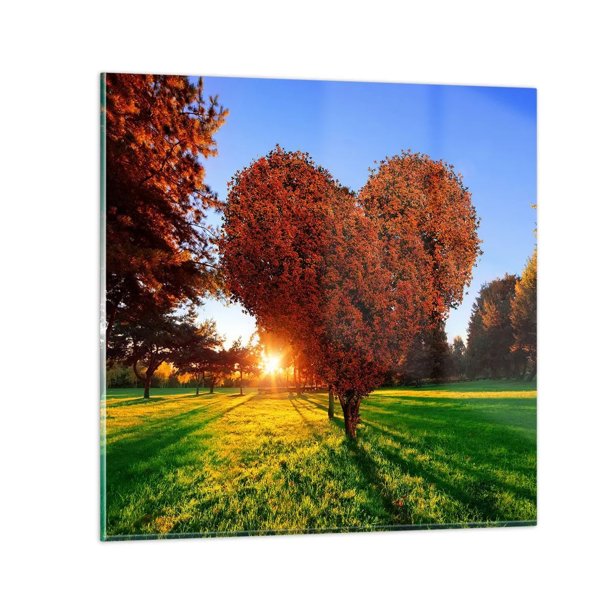 Obraz na skle - Jak nemilovat podzim - 70x70 cm