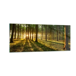 Obraz na skle - Fotografie všech jar - 100x40 cm