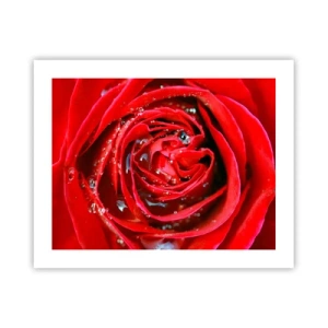 Plakát - V kapkách rosy - 50x40 cm