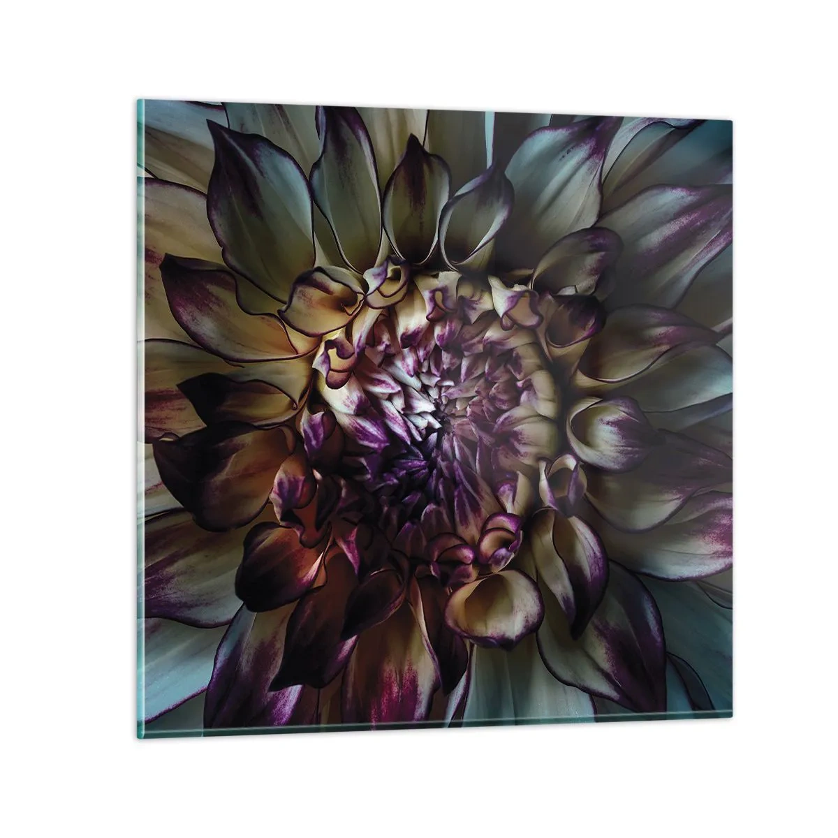 Obraz na skle - Rozkvět mládí - 50x50 cm