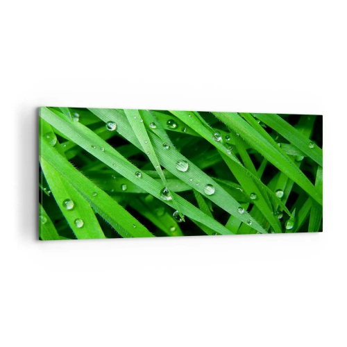 Obraz na plátně - Hrajte na zelenou - 100x40 cm