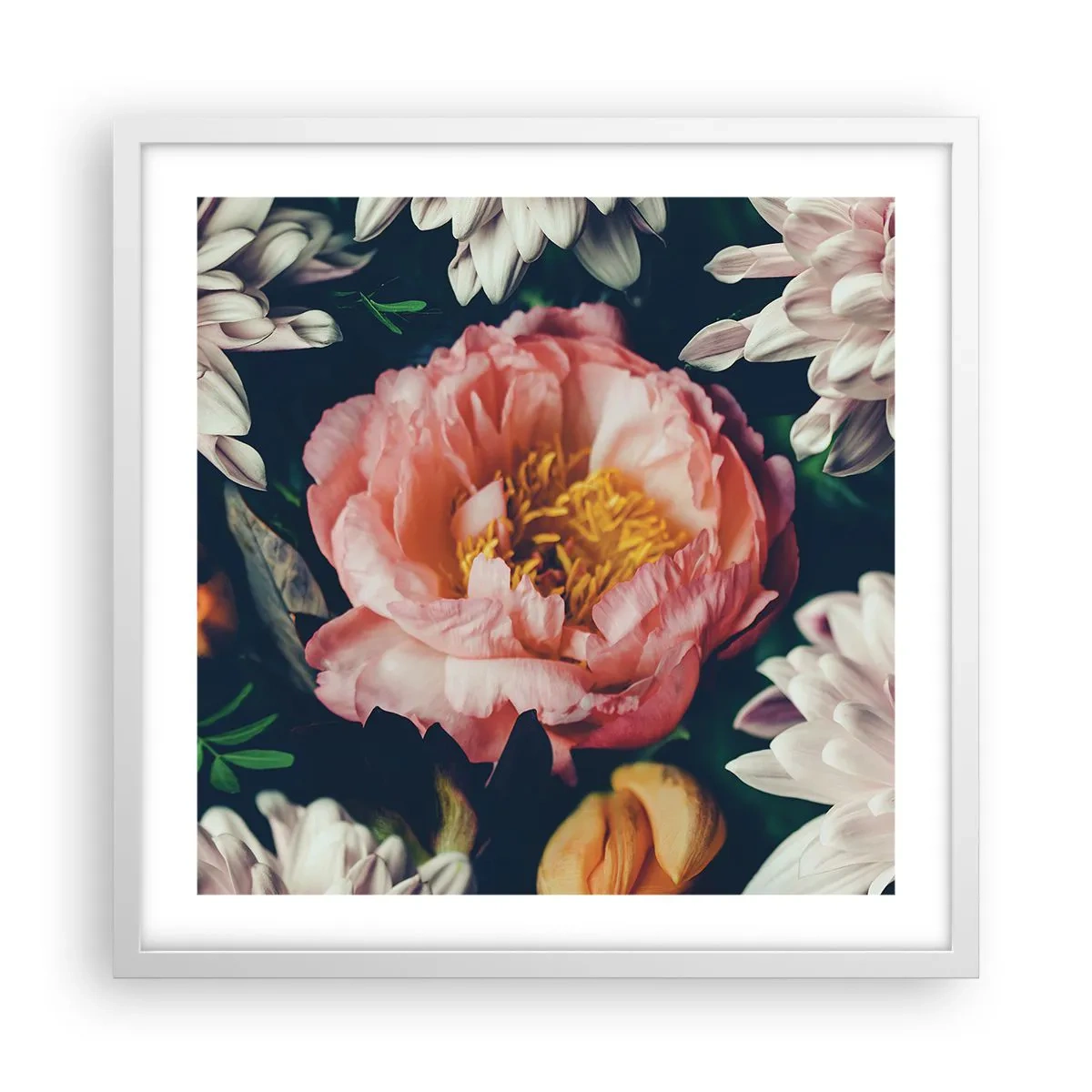 Plakát v bílém rámu - S barokním přepychem - 50x50 cm