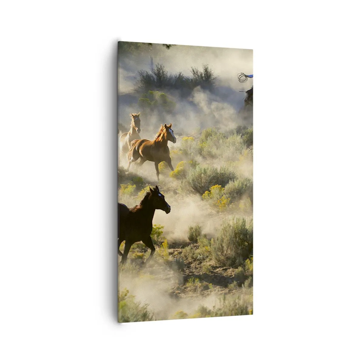 Obraz na plátně - Rivalita - svoboda nebo mužská síla? - 65x120 cm