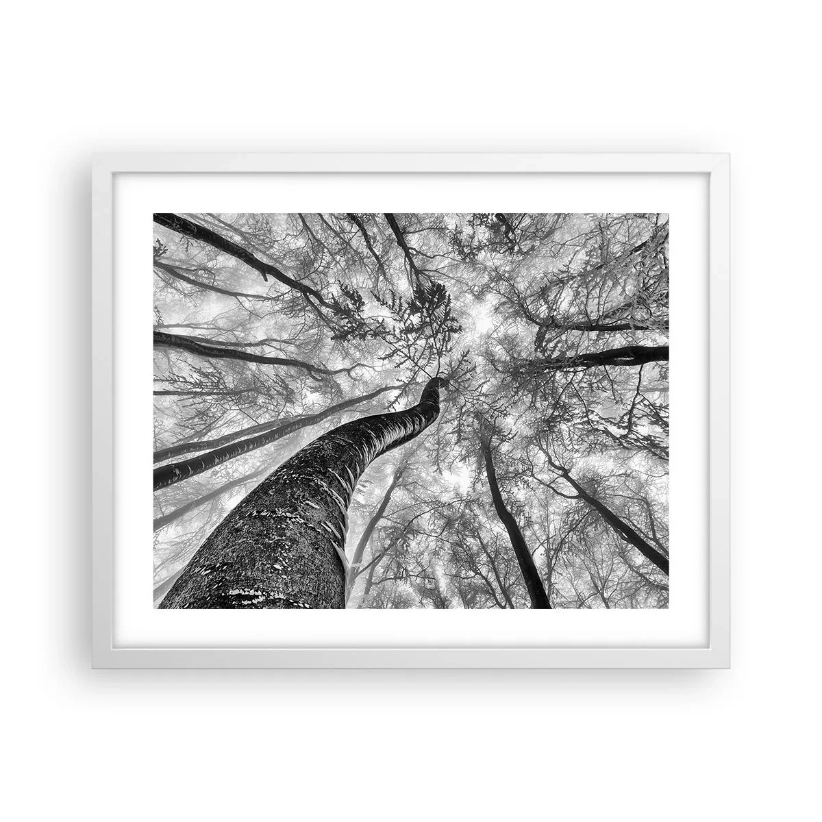 Plakát v bílém rámu - Závod ke světlu - 50x40 cm