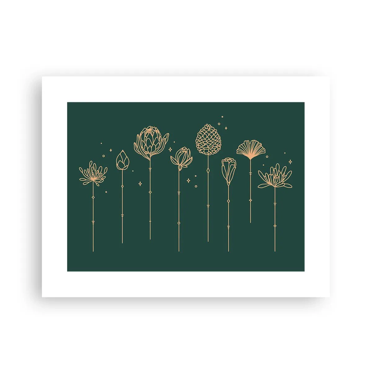 Plakát - Bylinky - 40x30 cm