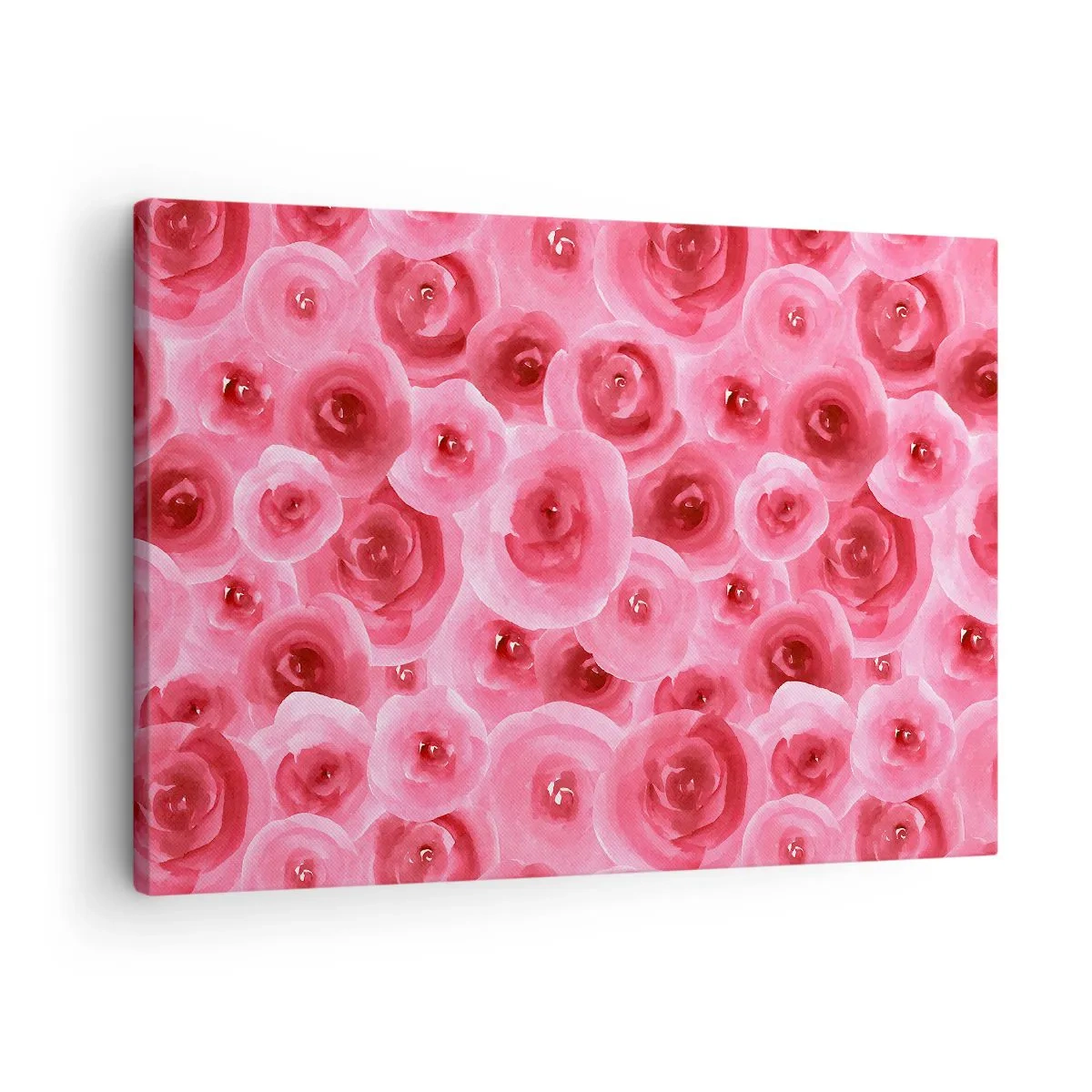 Obraz na plátně - Jemné růže v pastelových odstínech růžové - 70x50cm - Růže dole i nahoře - Moderní nástěnná dekorace do obývacího pokoje a ložnice ARTTOR