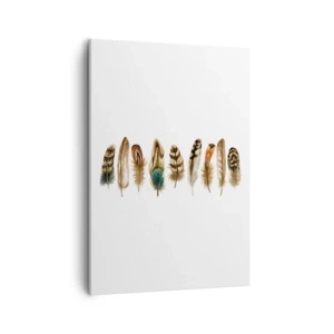 Obraz na plátně - Opeřená variace - 50x70 cm