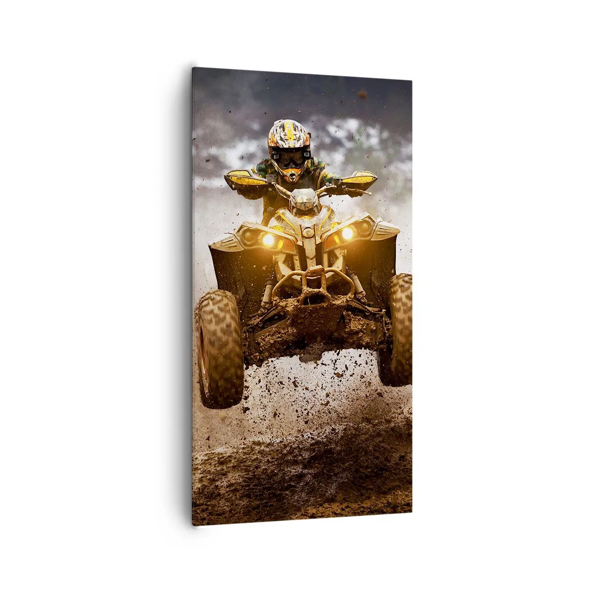 Obraz na plátně - No risk no fun - 65x120 cm