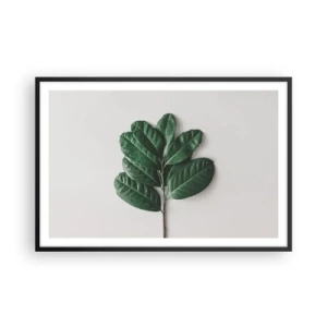 Plakát v černém rámu - Kresba samotné přírody - 91x61 cm