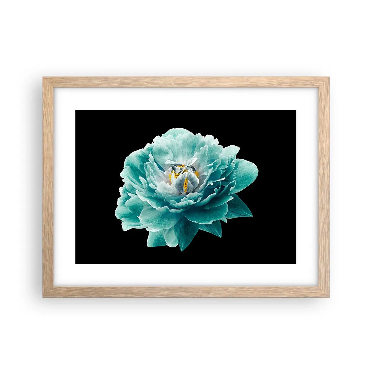 Plakát v rámu světlý dub - Modré a zlaté okvětní lístky - 40x30 cm