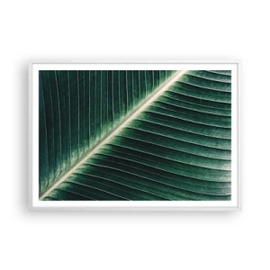 Plakát v bílém rámu - Rytmus přírody - 100x70 cm