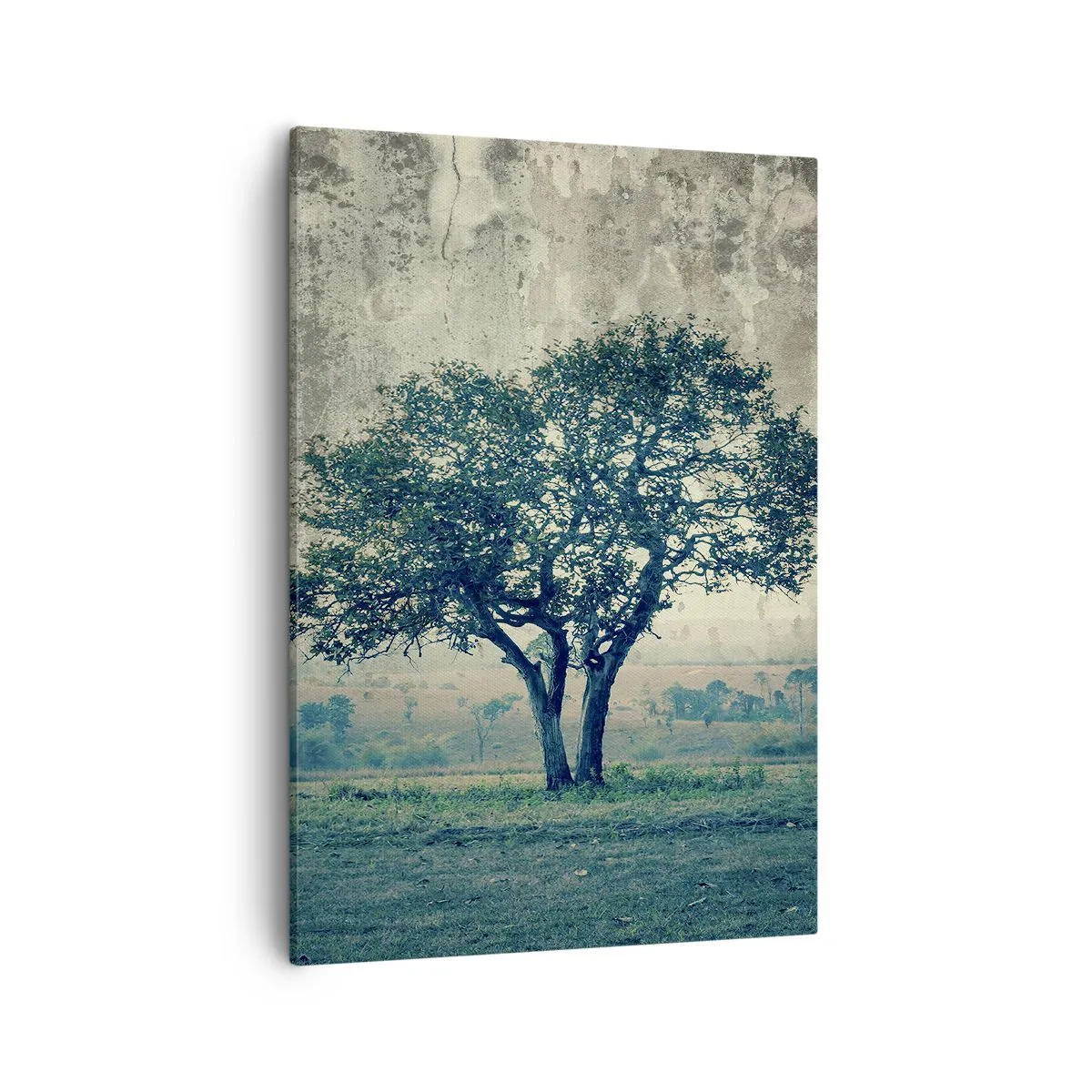 Obraz na plátně - Jabloň na modrém poli? - 50x70 cm
