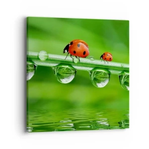 Obraz na plátně - Na cestách celé léto - 40x40 cm