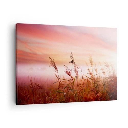 Obraz na plátně - Pole trávy na pozadí malebného západu slunce - 70x50cm - Draci, pampelišky a vítr - Moderní nástěnná dekorace do obývacího pokoje a ložnice ARTTOR