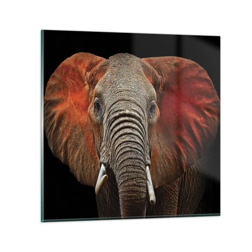 Obraz na skle - Jsem divoký, a ty? - 30x30 cm