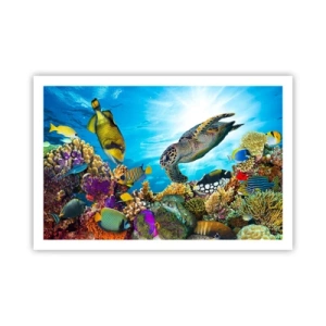 Plakát - Korálová promenáda - 91x61 cm