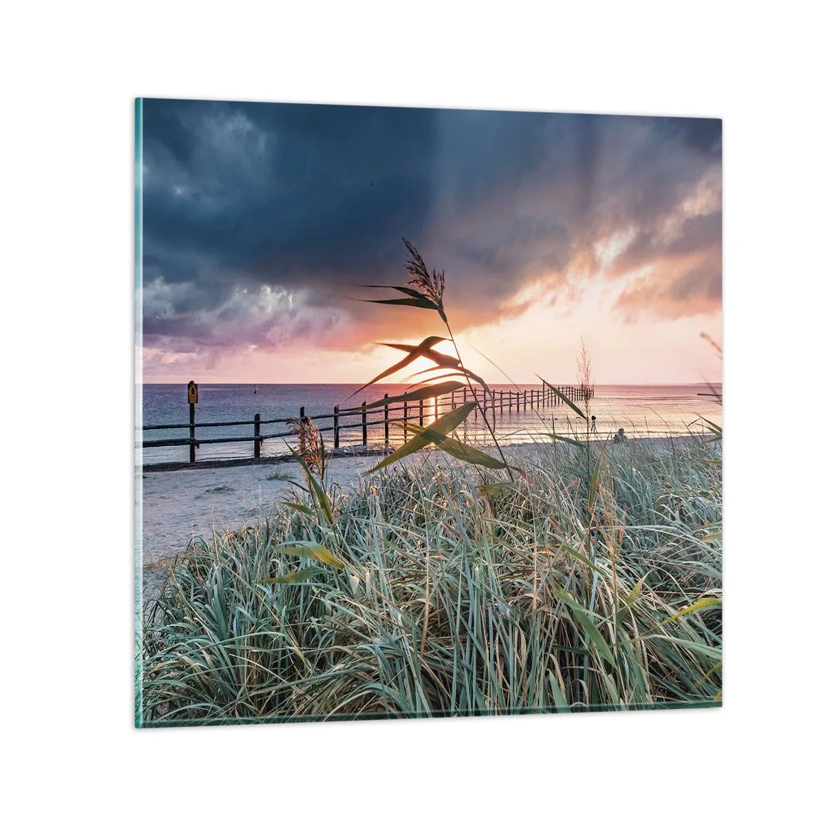 Obraz na skle - Neodváto větrem - 70x70 cm