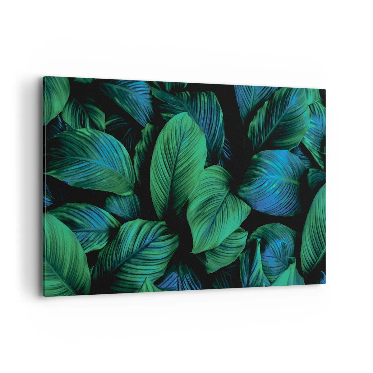 Obraz na plátně - V zeleném davu - 120x80 cm