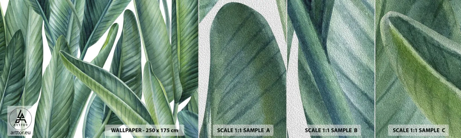 Vzor Fototapety Premium Sand - Prostě zelená - Zelené listy, Tropická rostlina, Příroda - 100x30 cm