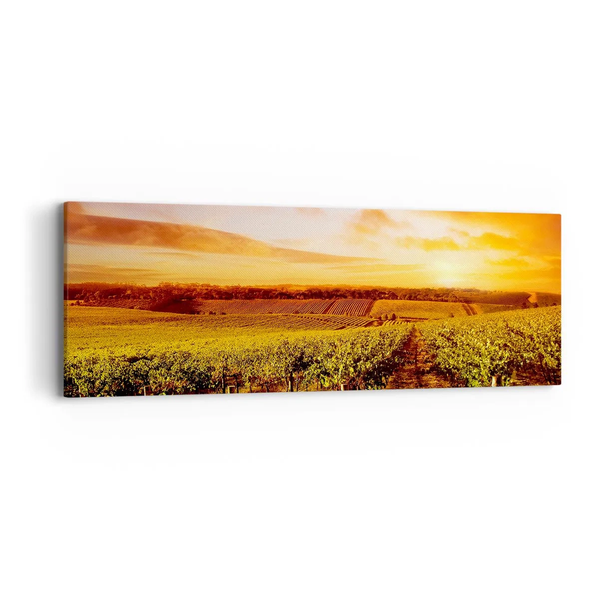 Obraz na plátně - Jemně ovocné s tónem slunce - 90x30 cm