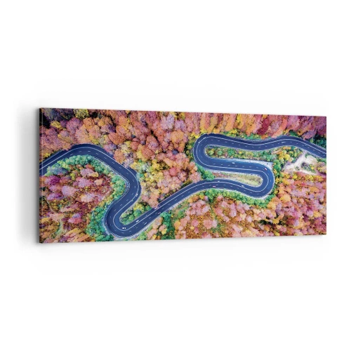 Obraz na plátně - Klikatá cesta lesem - 100x40 cm